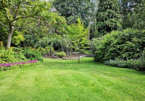 Optimiser l'expérience du jardin à Champeaux-sur-Sarthe